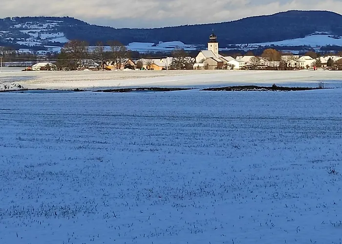 Schoene Helle In Waldnaehe