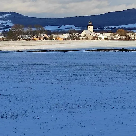 Schöne Helle In Waldnähe
